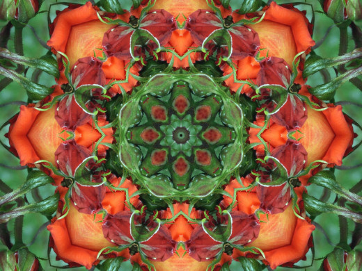 434646 (a): :2400x1800
